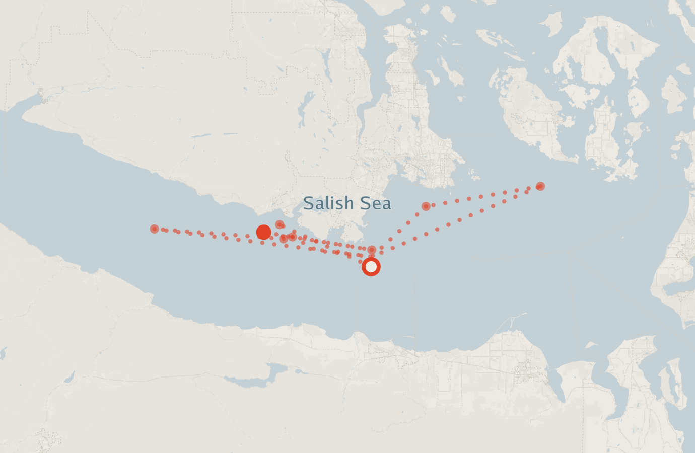 Activity map — real sighting points on an OpenStreetMap basemap