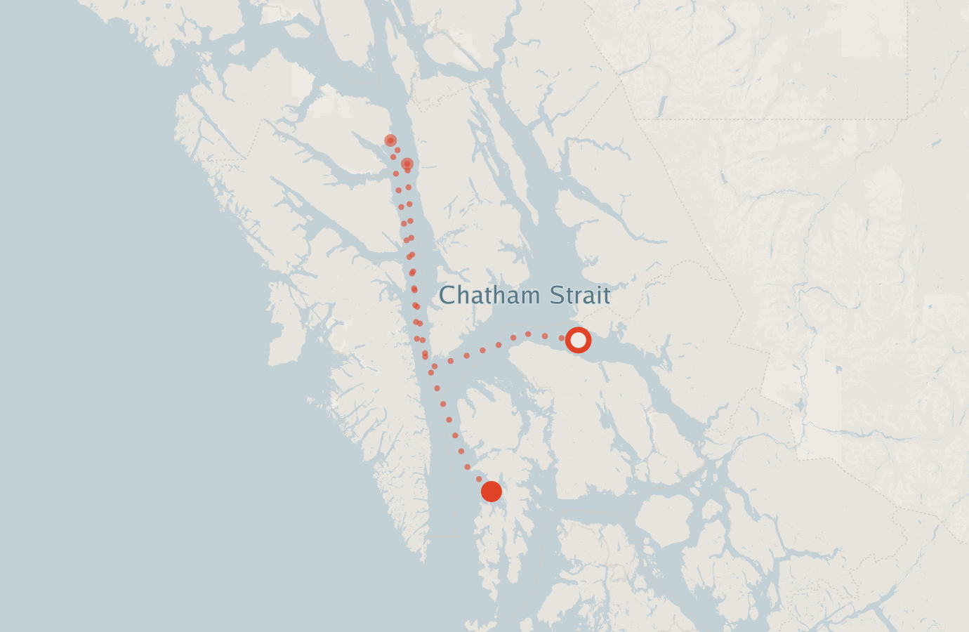 Activity map — real sighting points on an OpenStreetMap basemap