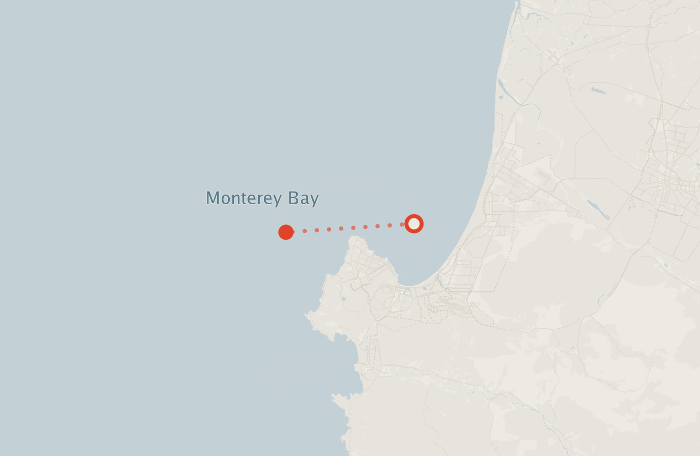 Activity map — real sighting points on an OpenStreetMap basemap