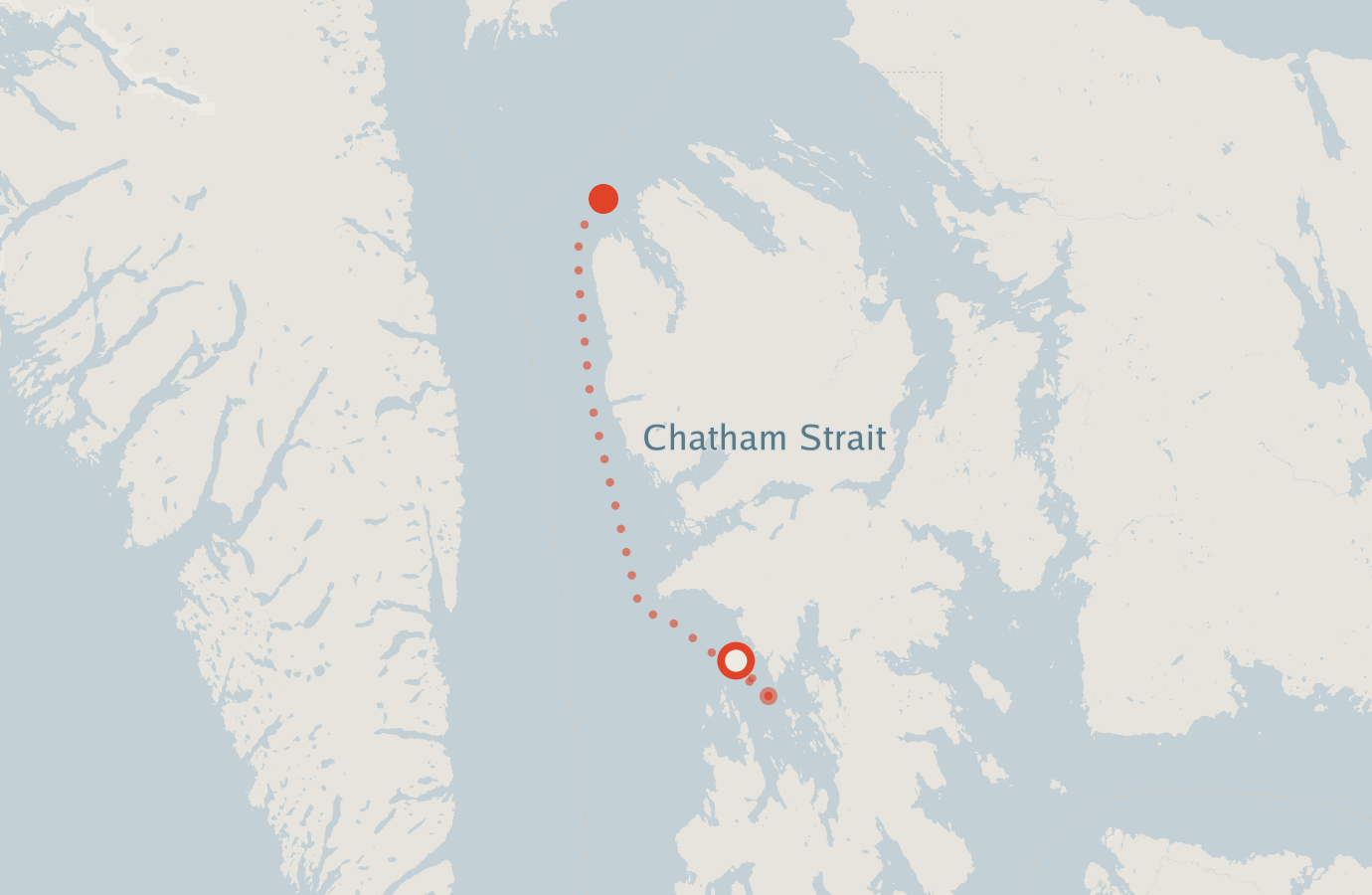 Activity map — real sighting points on an OpenStreetMap basemap