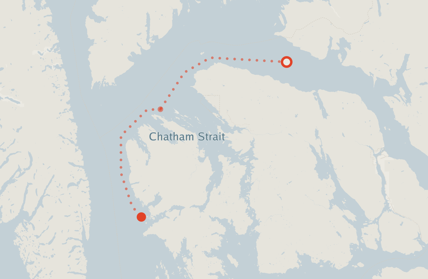 Activity map — real sighting points on an OpenStreetMap basemap