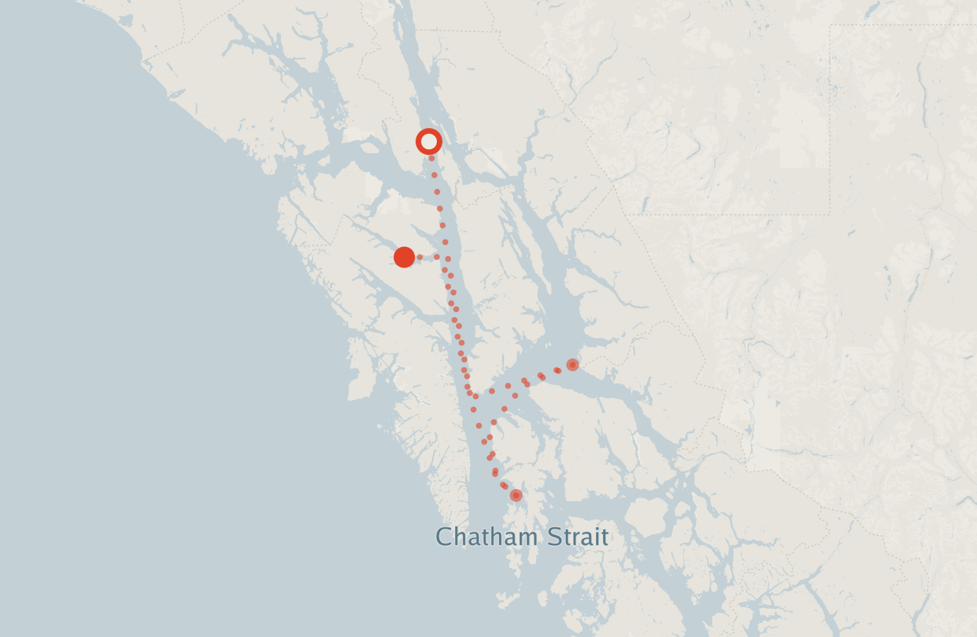 Activity map — real sighting points on an OpenStreetMap basemap