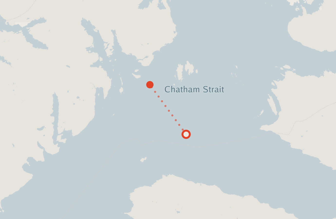 Activity map — real sighting points on an OpenStreetMap basemap