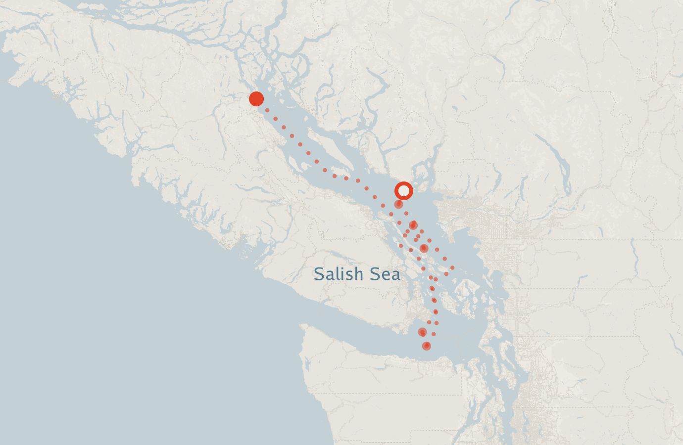 Activity map — real sighting points on an OpenStreetMap basemap
