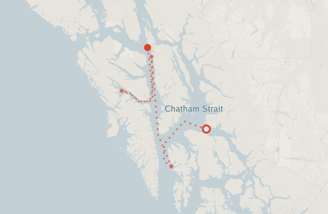 Activity map — real sighting points on an OpenStreetMap basemap