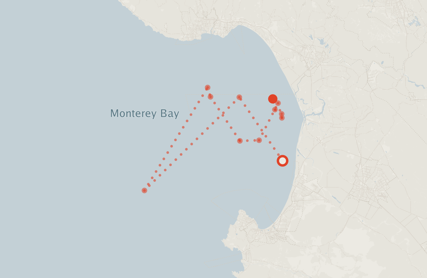 Activity map — real sighting points on an OpenStreetMap basemap