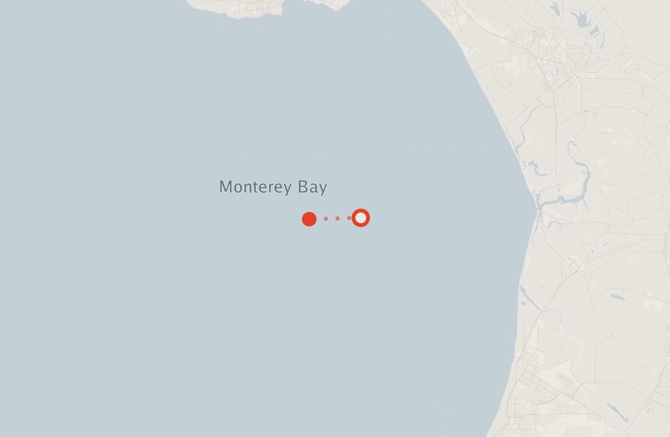 Activity map — real sighting points on an OpenStreetMap basemap