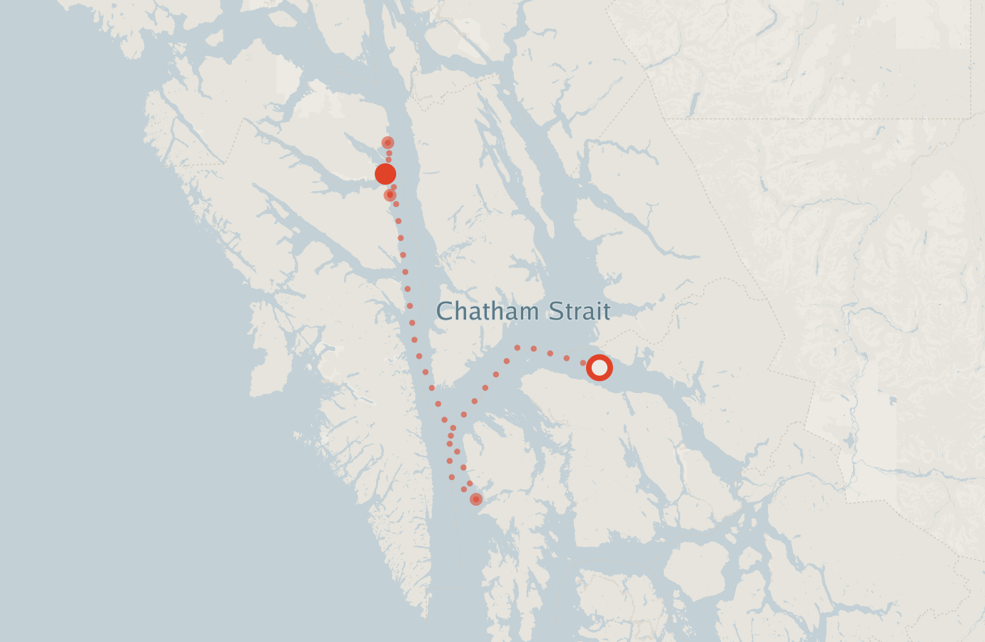 Activity map — real sighting points on an OpenStreetMap basemap