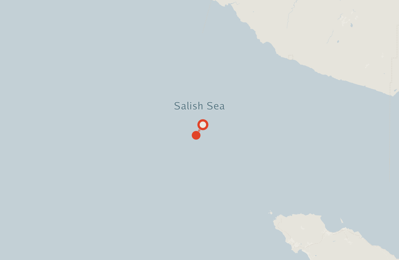 Activity map — real sighting points on an OpenStreetMap basemap