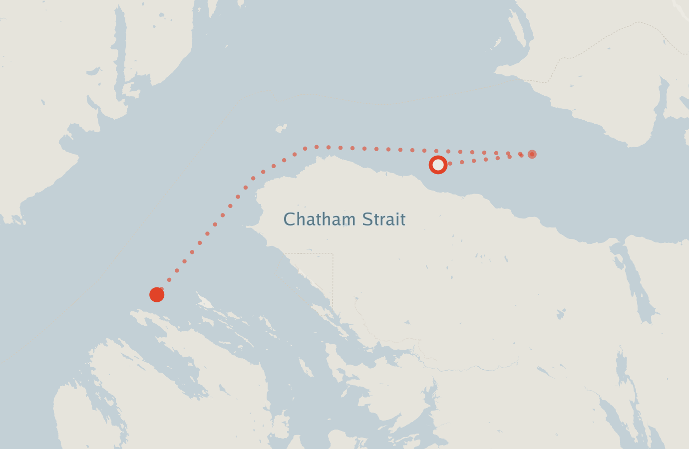 Activity map — real sighting points on an OpenStreetMap basemap