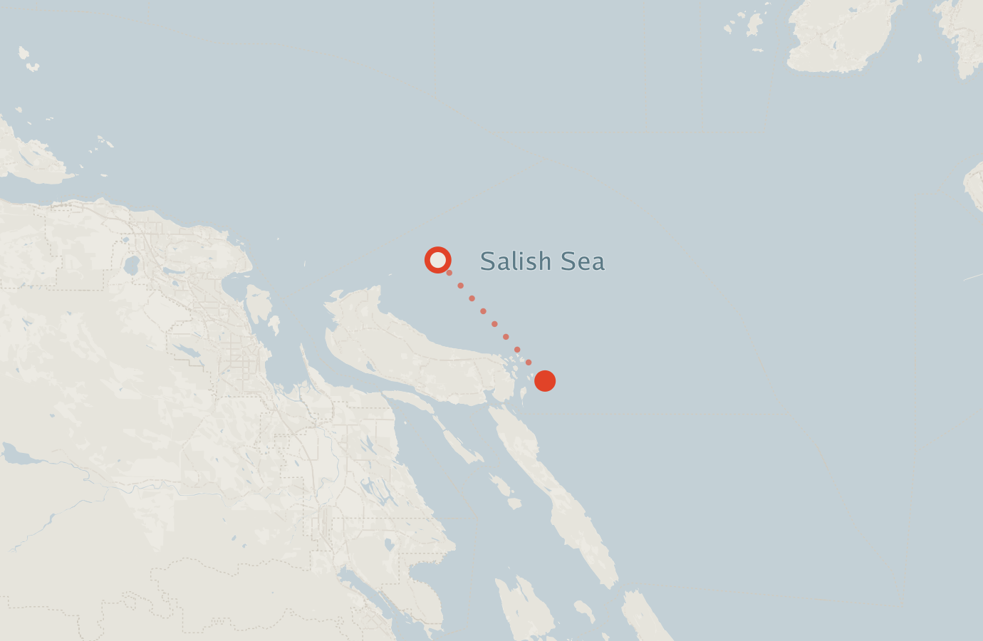 Activity map — real sighting points on an OpenStreetMap basemap