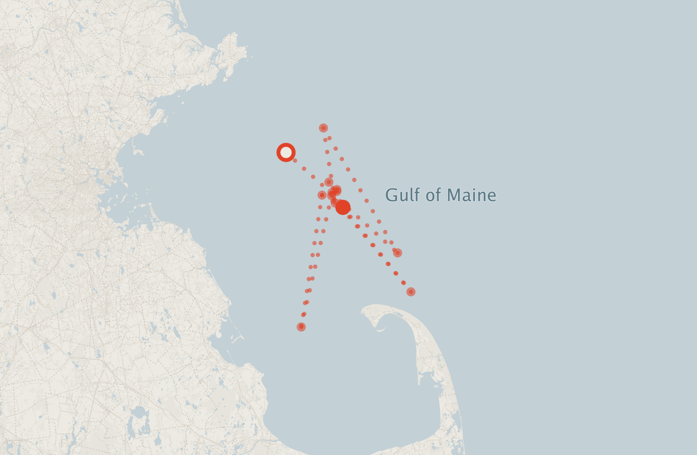 Activity map — real sighting points on an OpenStreetMap basemap