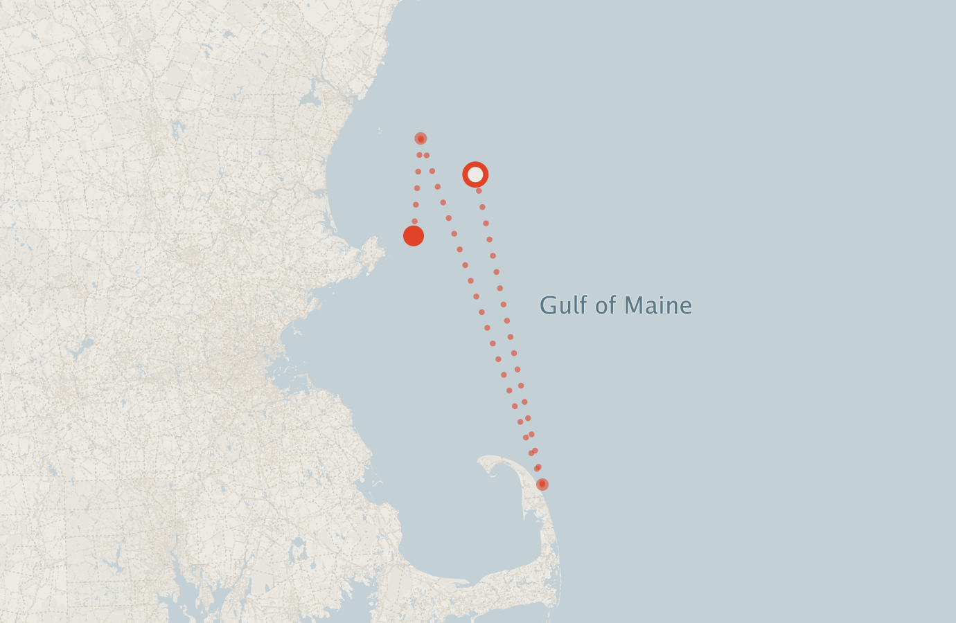 Activity map — real sighting points on an OpenStreetMap basemap