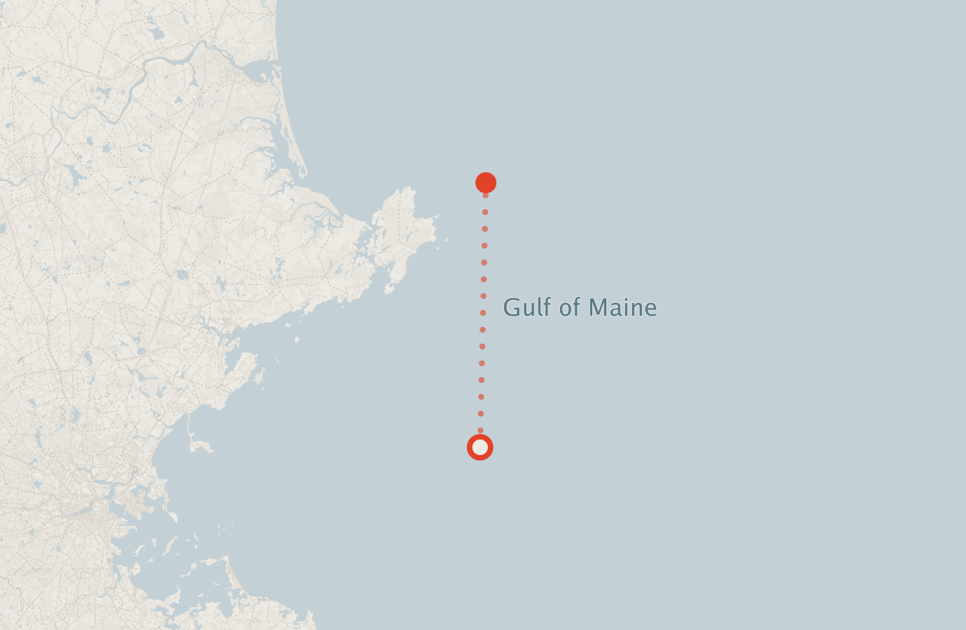 Activity map — real sighting points on an OpenStreetMap basemap