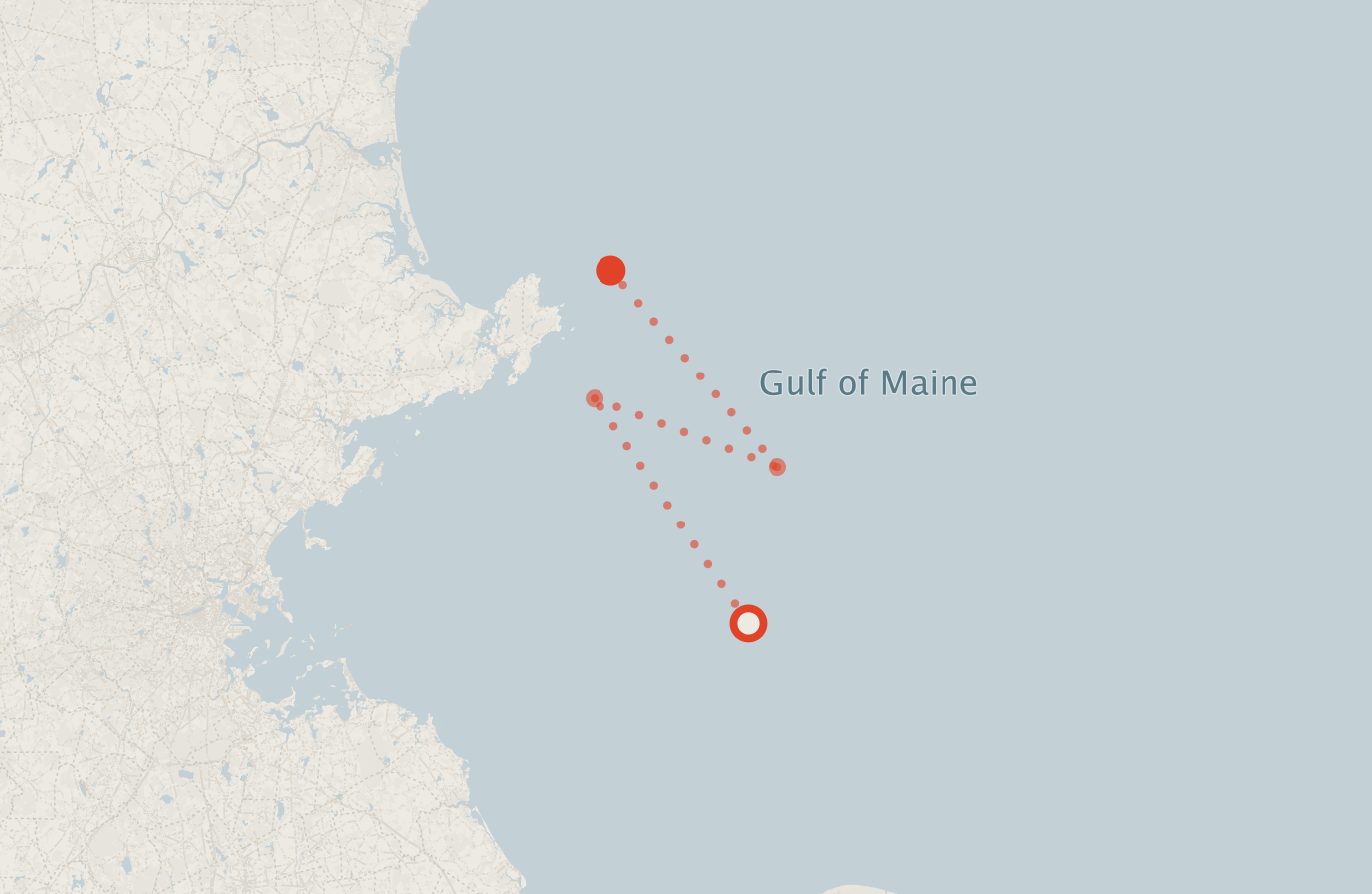 Activity map — real sighting points on an OpenStreetMap basemap