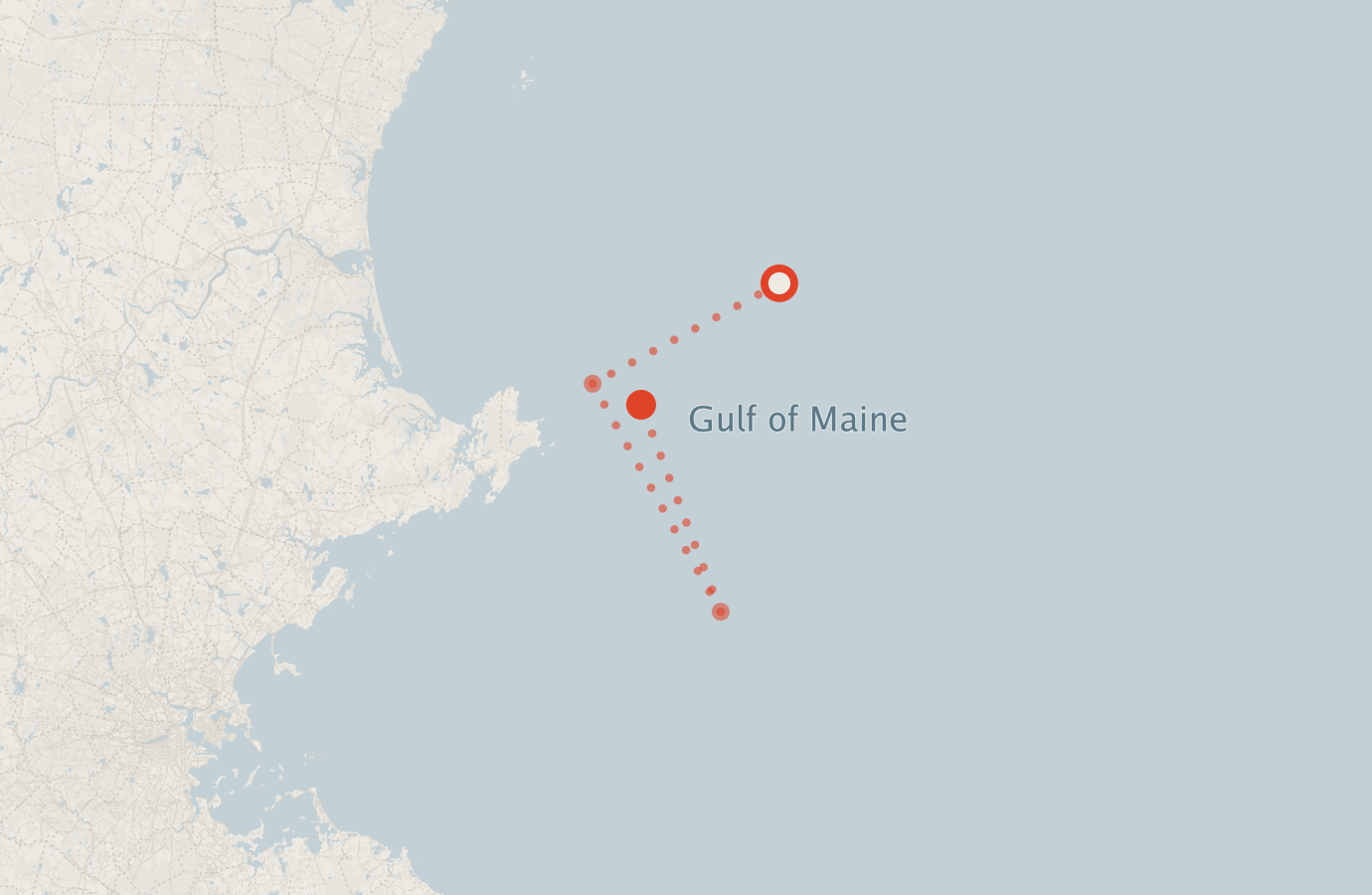 Activity map — real sighting points on an OpenStreetMap basemap