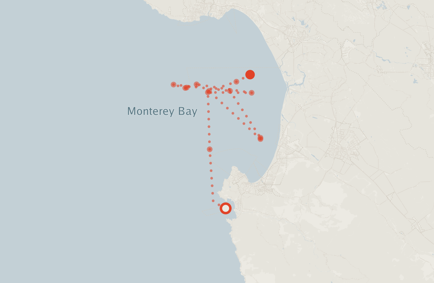 Activity map — real sighting points on an OpenStreetMap basemap