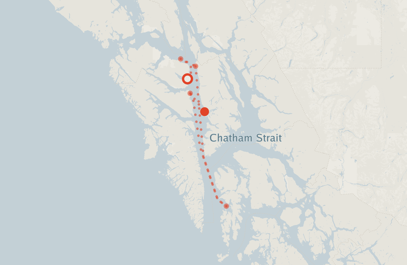 Activity map — real sighting points on an OpenStreetMap basemap