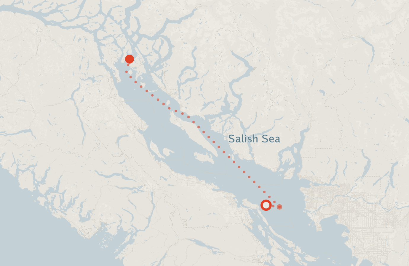 Activity map — real sighting points on an OpenStreetMap basemap