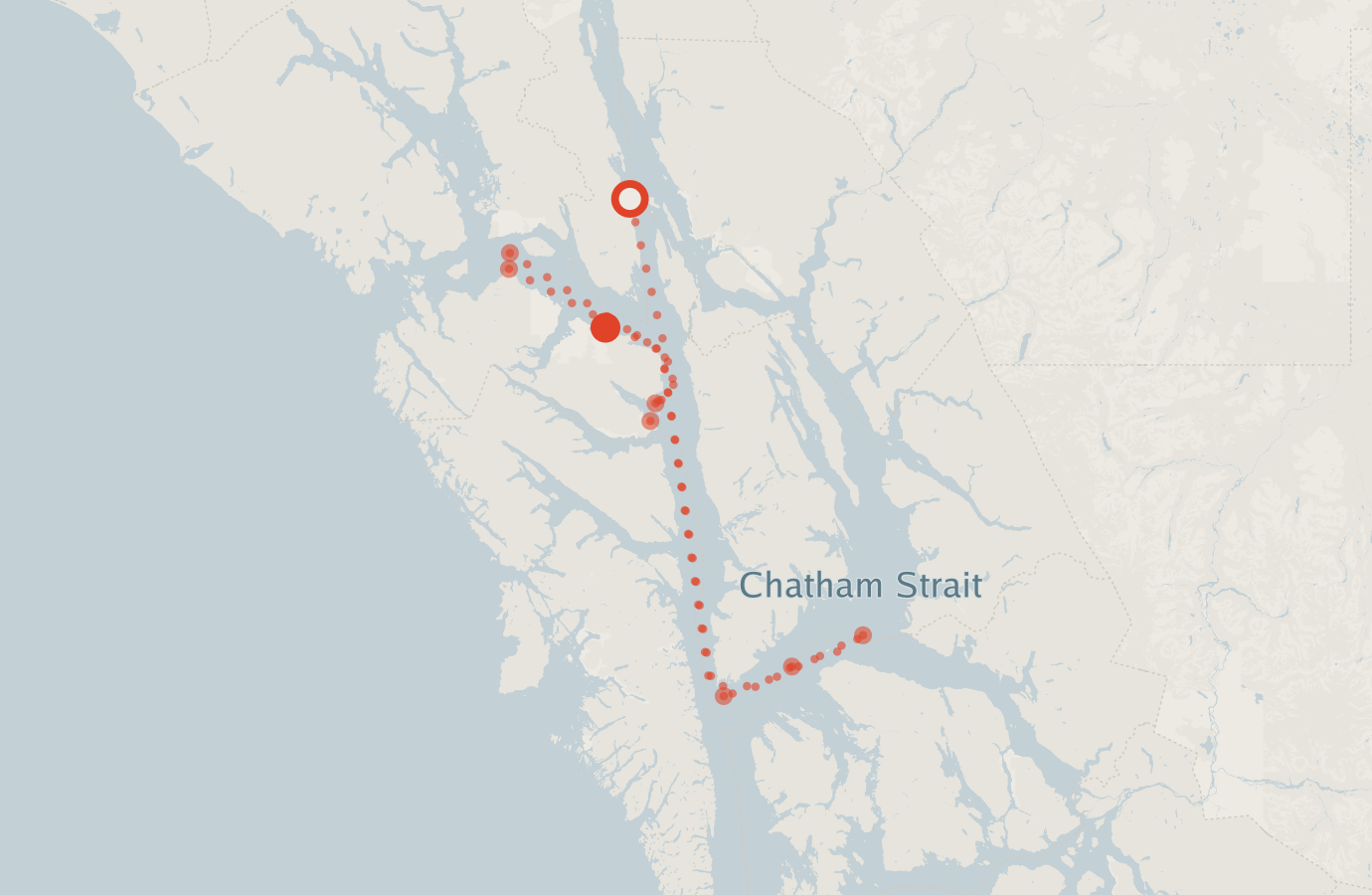 Activity map — real sighting points on an OpenStreetMap basemap