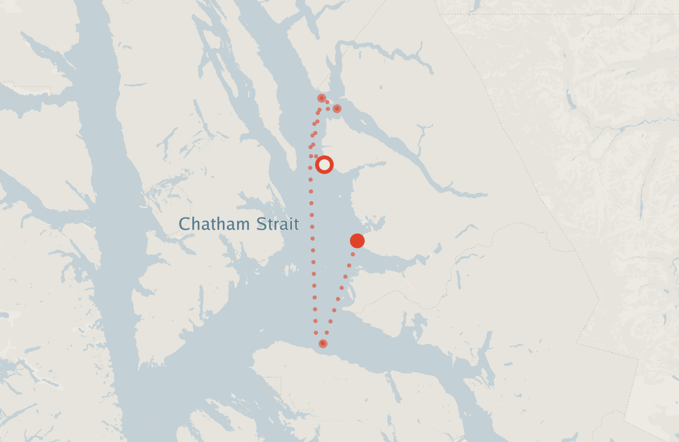 Activity map — real sighting points on an OpenStreetMap basemap