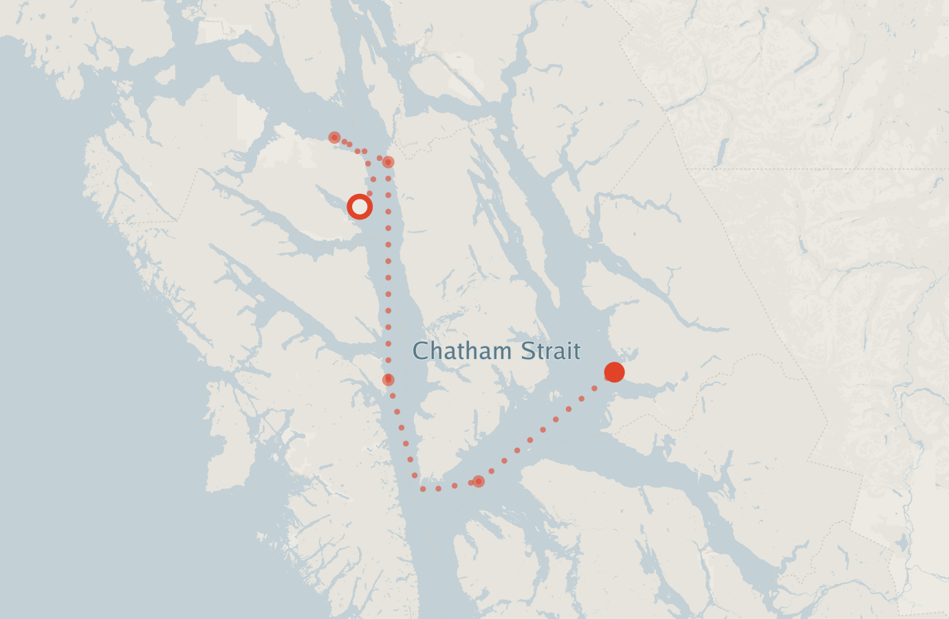 Activity map — real sighting points on an OpenStreetMap basemap