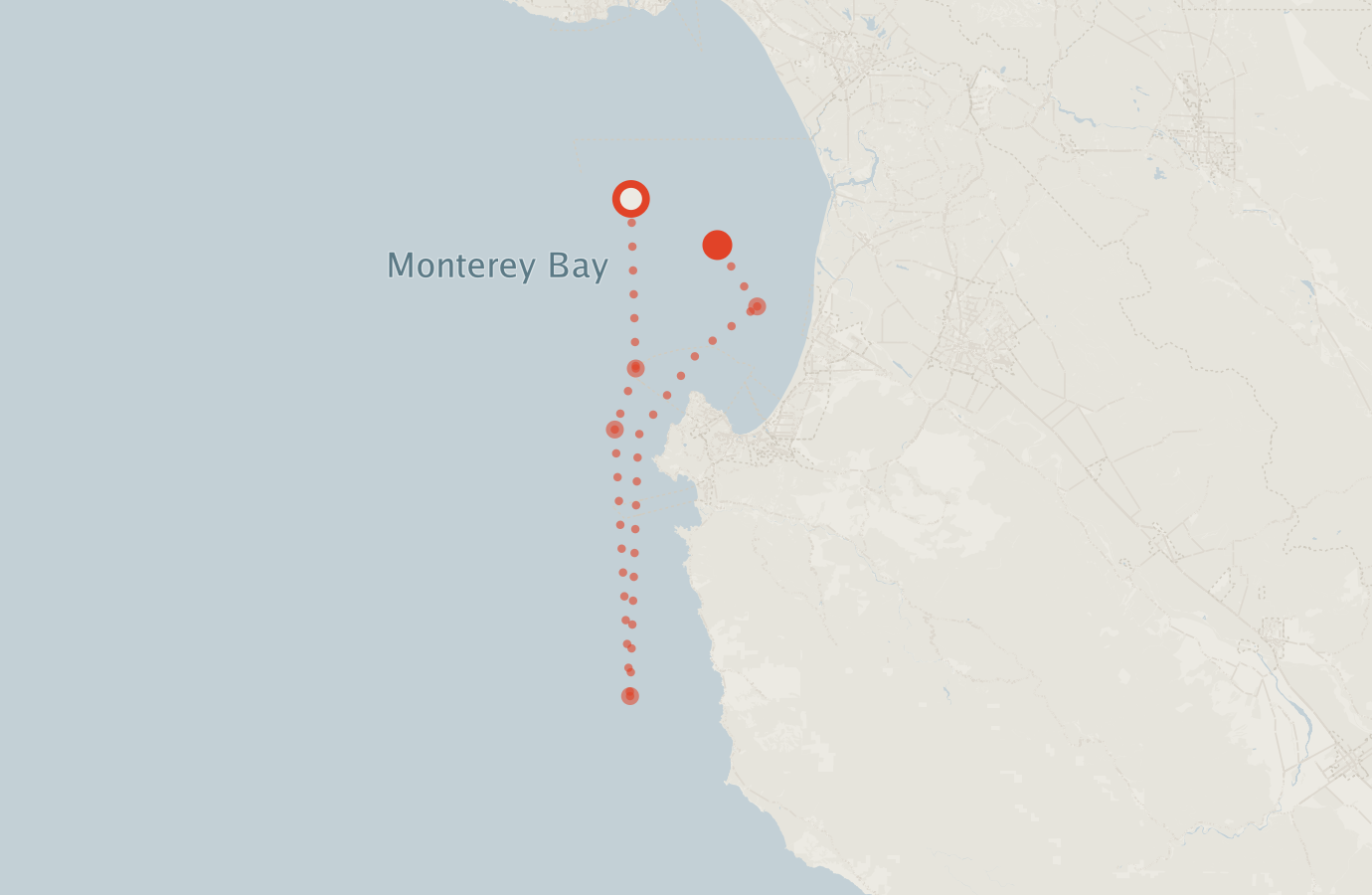 Activity map — real sighting points on an OpenStreetMap basemap