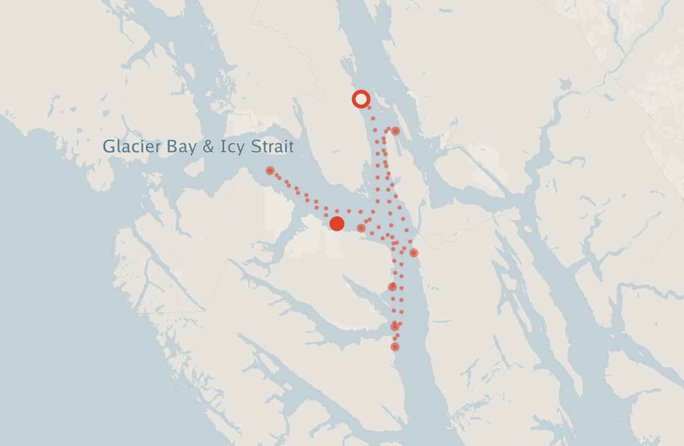 Activity map — real sighting points on an OpenStreetMap basemap