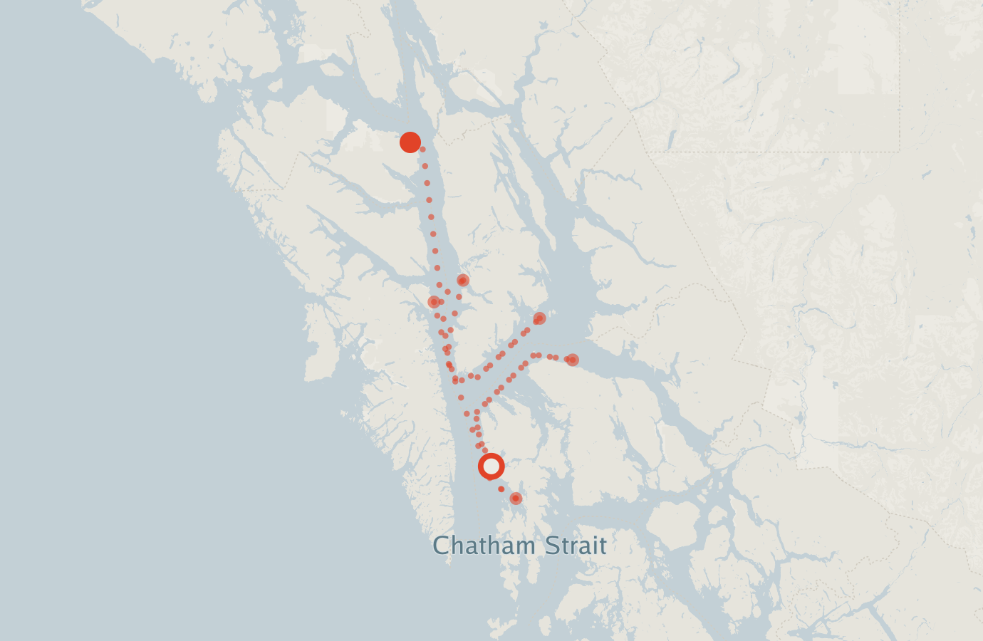 Activity map — real sighting points on an OpenStreetMap basemap