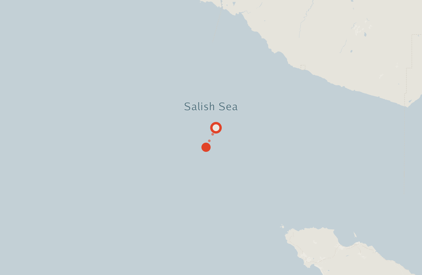 Activity map — real sighting points on an OpenStreetMap basemap