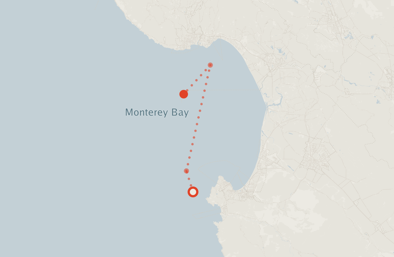 Activity map — real sighting points on an OpenStreetMap basemap