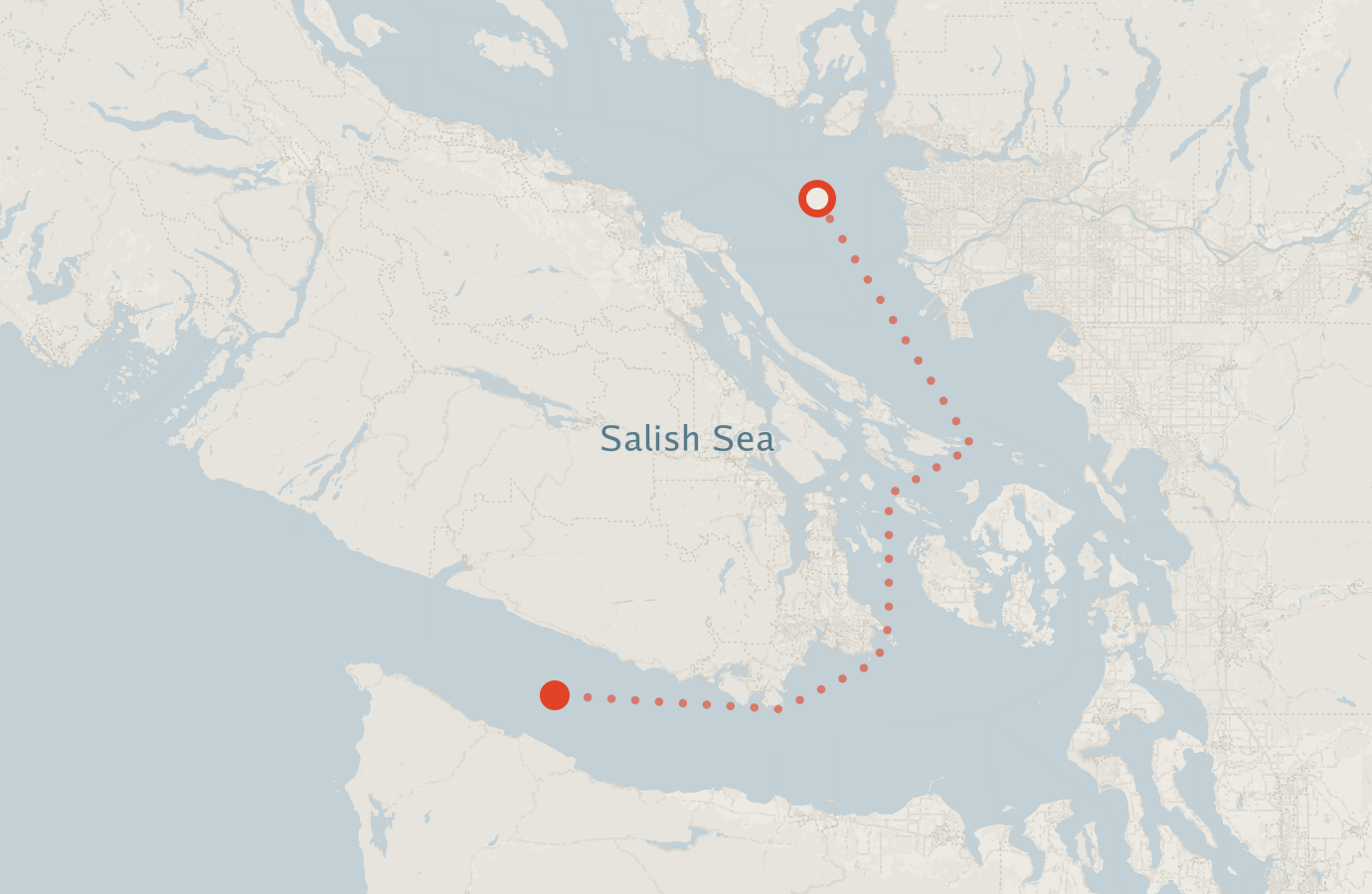 Activity map — real sighting points on an OpenStreetMap basemap
