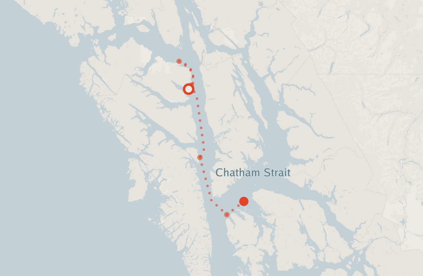 Activity map — real sighting points on an OpenStreetMap basemap