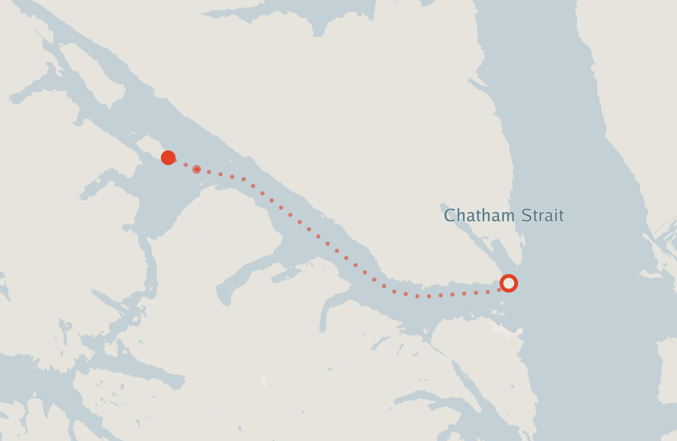 Activity map — real sighting points on an OpenStreetMap basemap