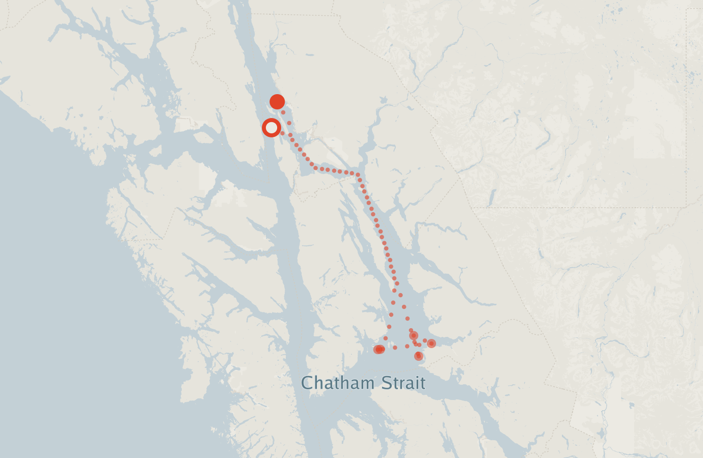 Activity map — real sighting points on an OpenStreetMap basemap