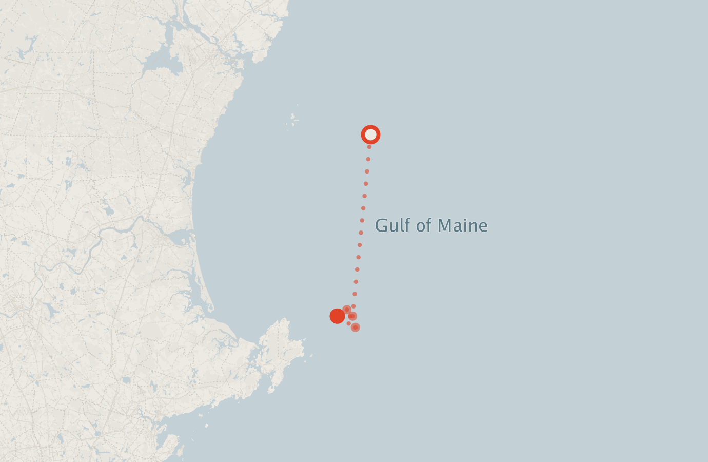 Activity map — real sighting points on an OpenStreetMap basemap