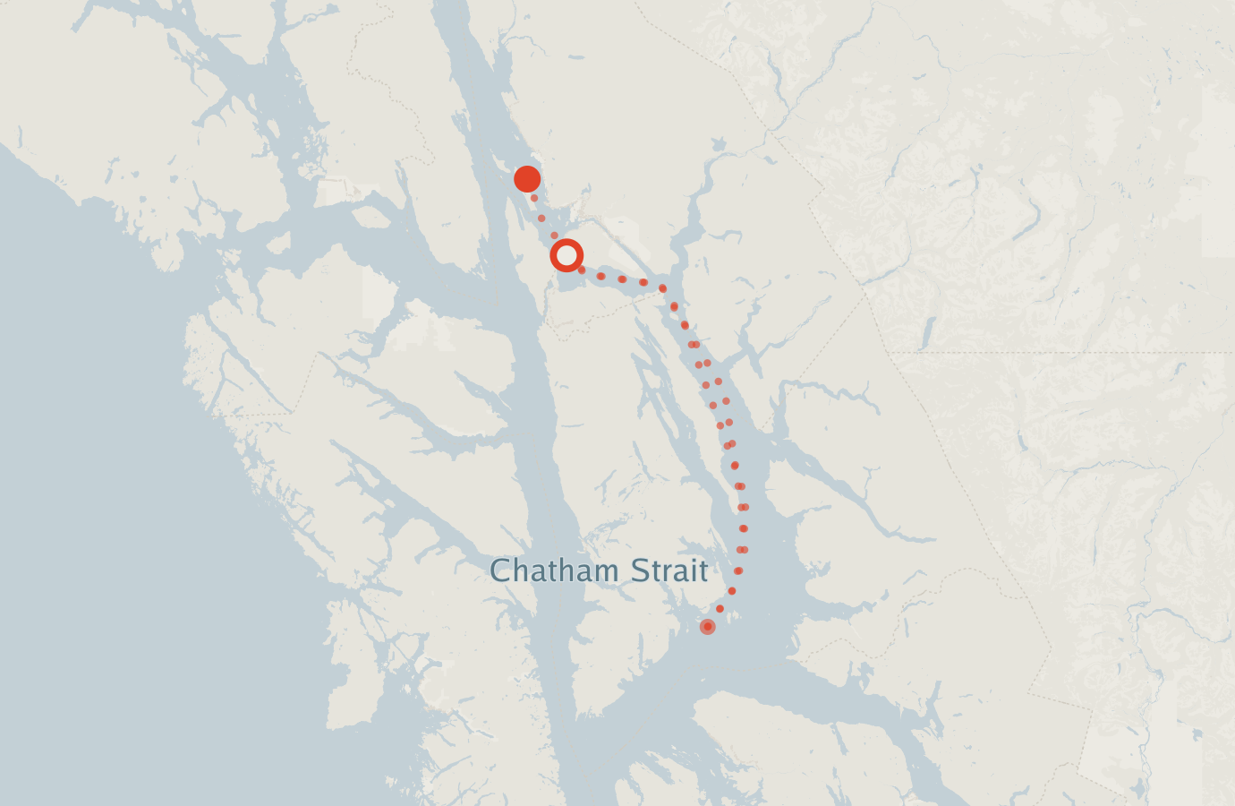 Activity map — real sighting points on an OpenStreetMap basemap