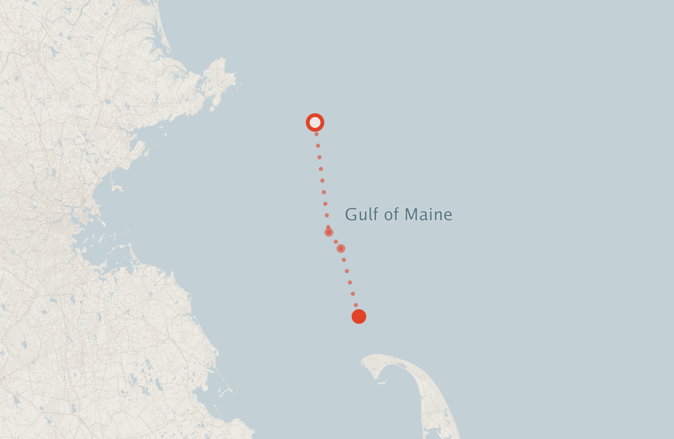 Activity map — real sighting points on an OpenStreetMap basemap