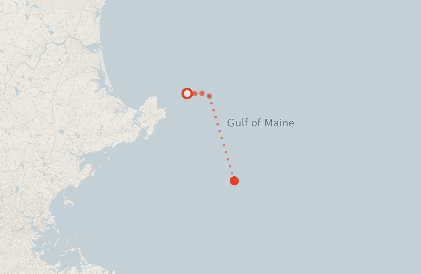 Activity map — real sighting points on an OpenStreetMap basemap