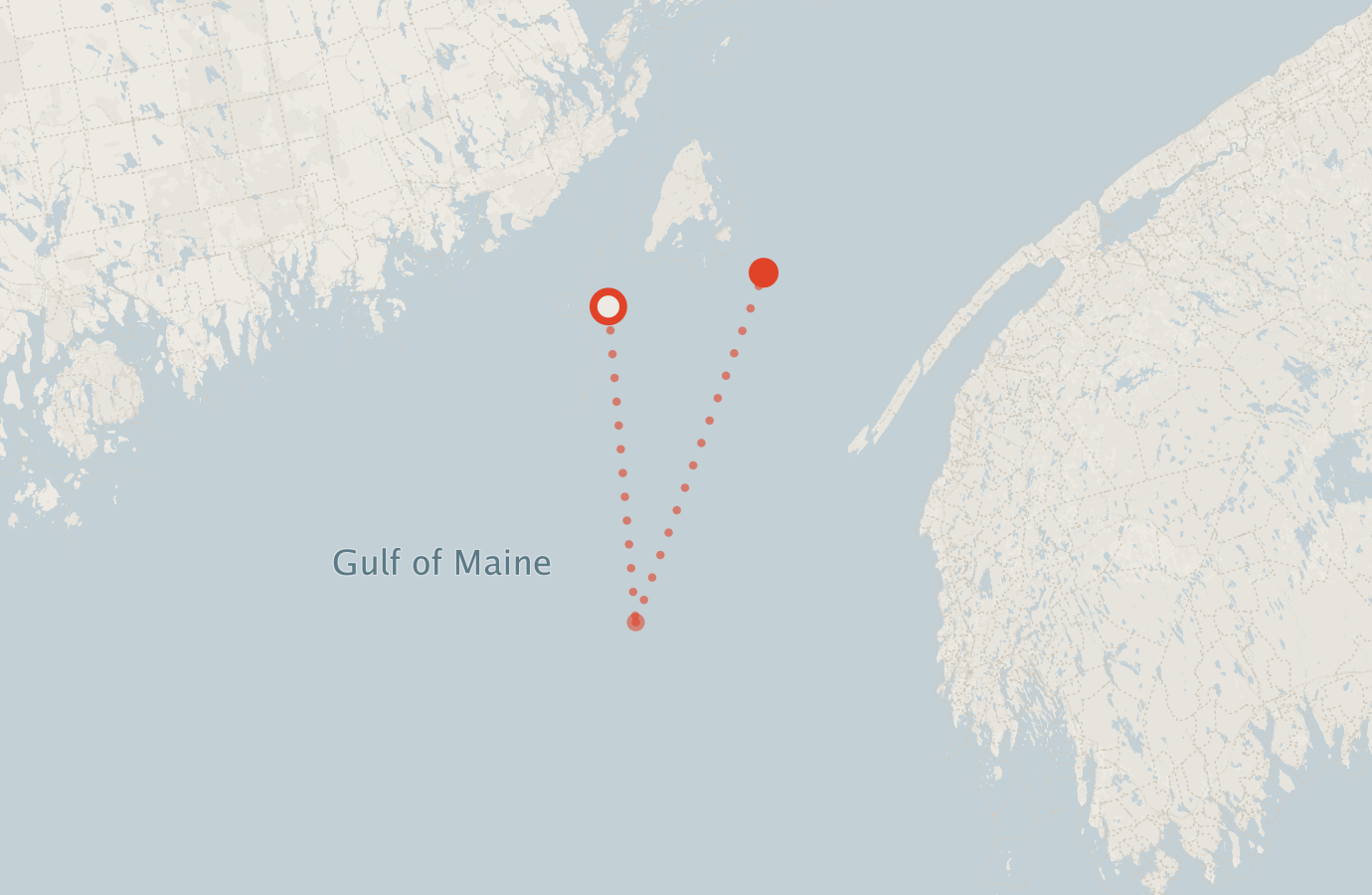 Activity map — real sighting points on an OpenStreetMap basemap