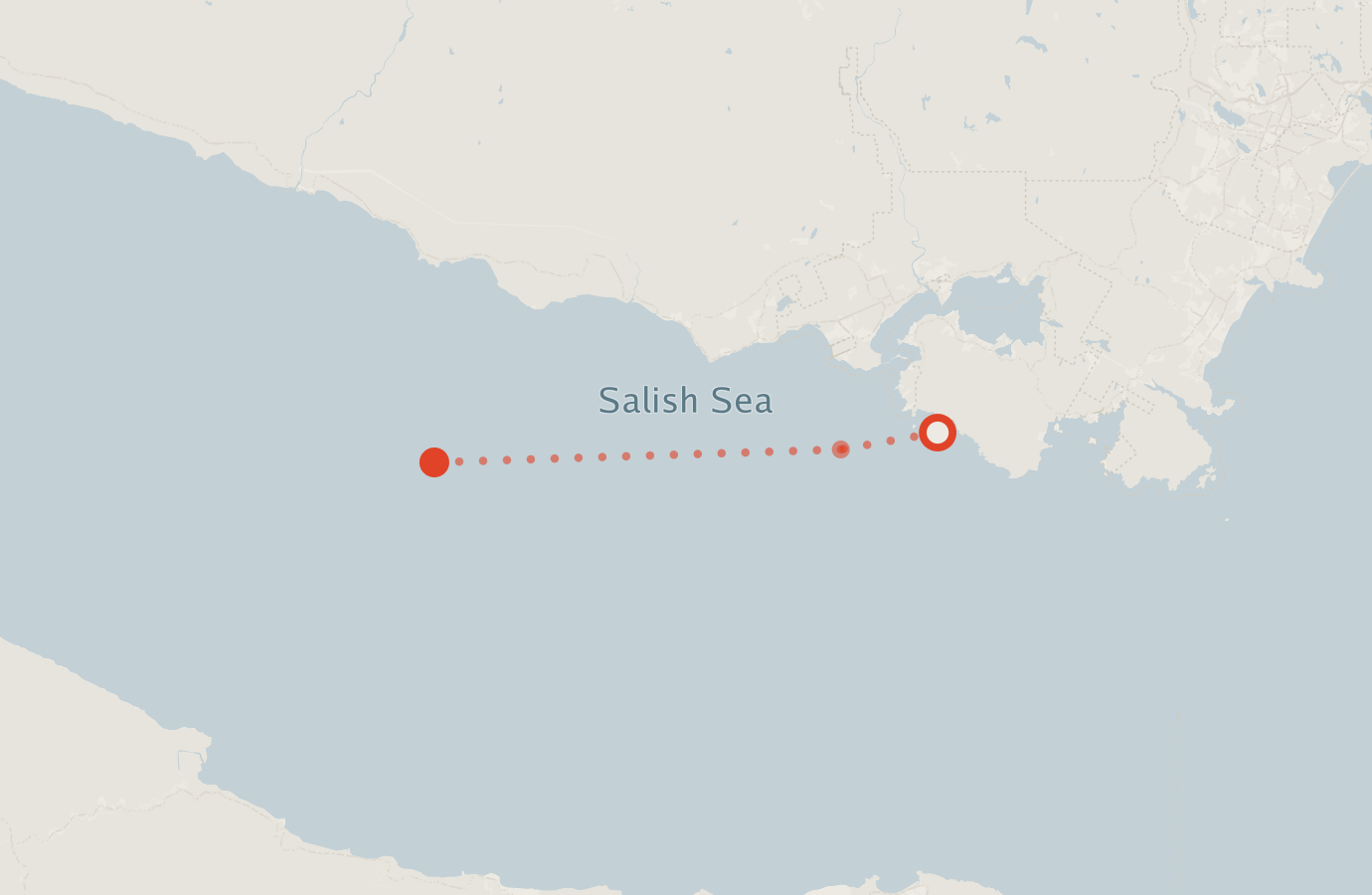 Activity map — real sighting points on an OpenStreetMap basemap