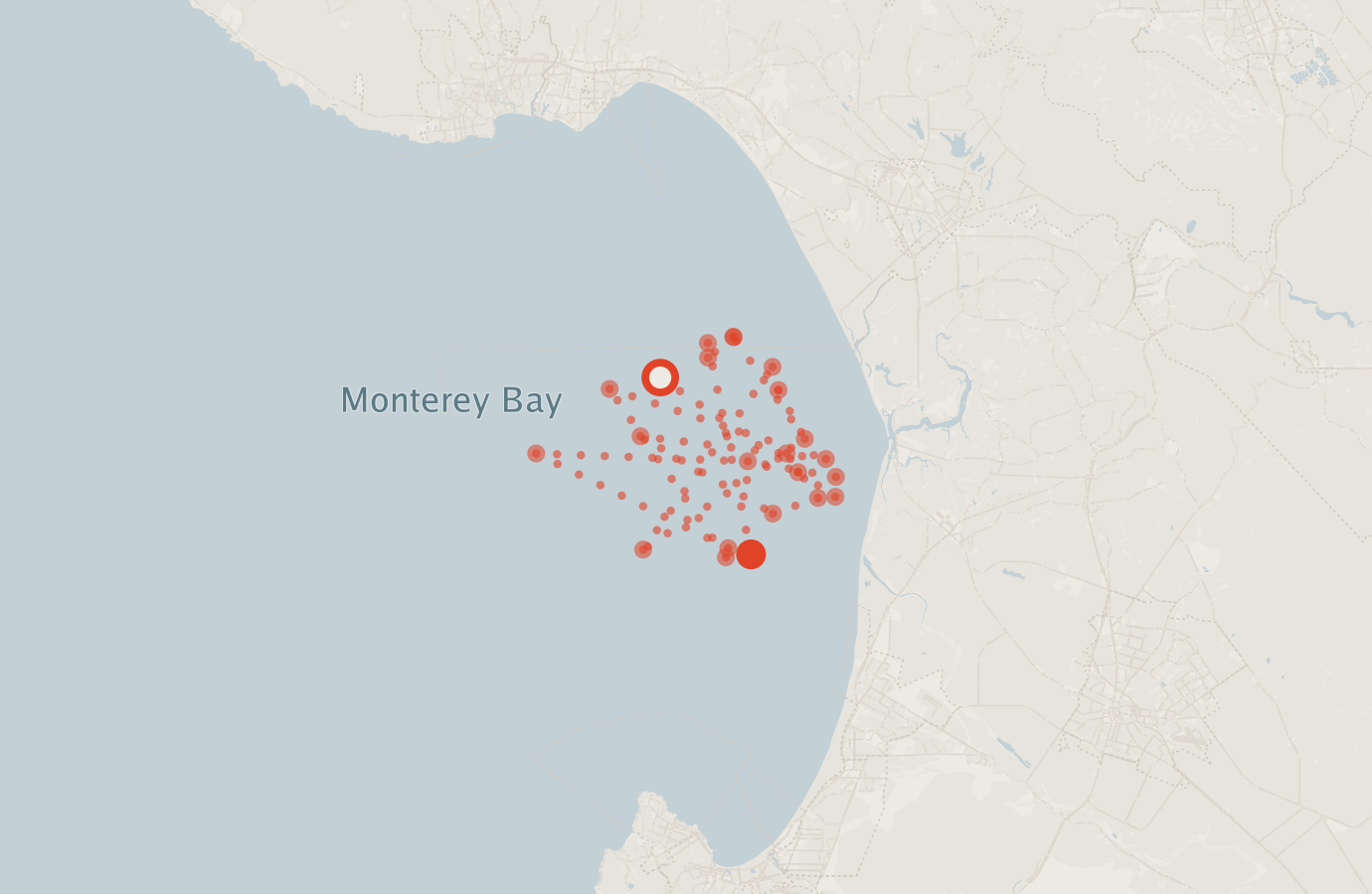 Activity map — real sighting points on an OpenStreetMap basemap
