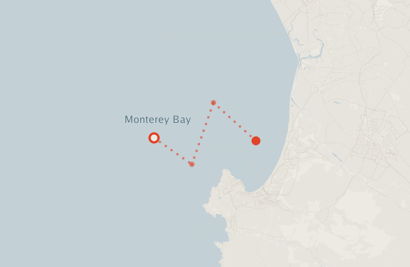 Activity map — real sighting points on an OpenStreetMap basemap