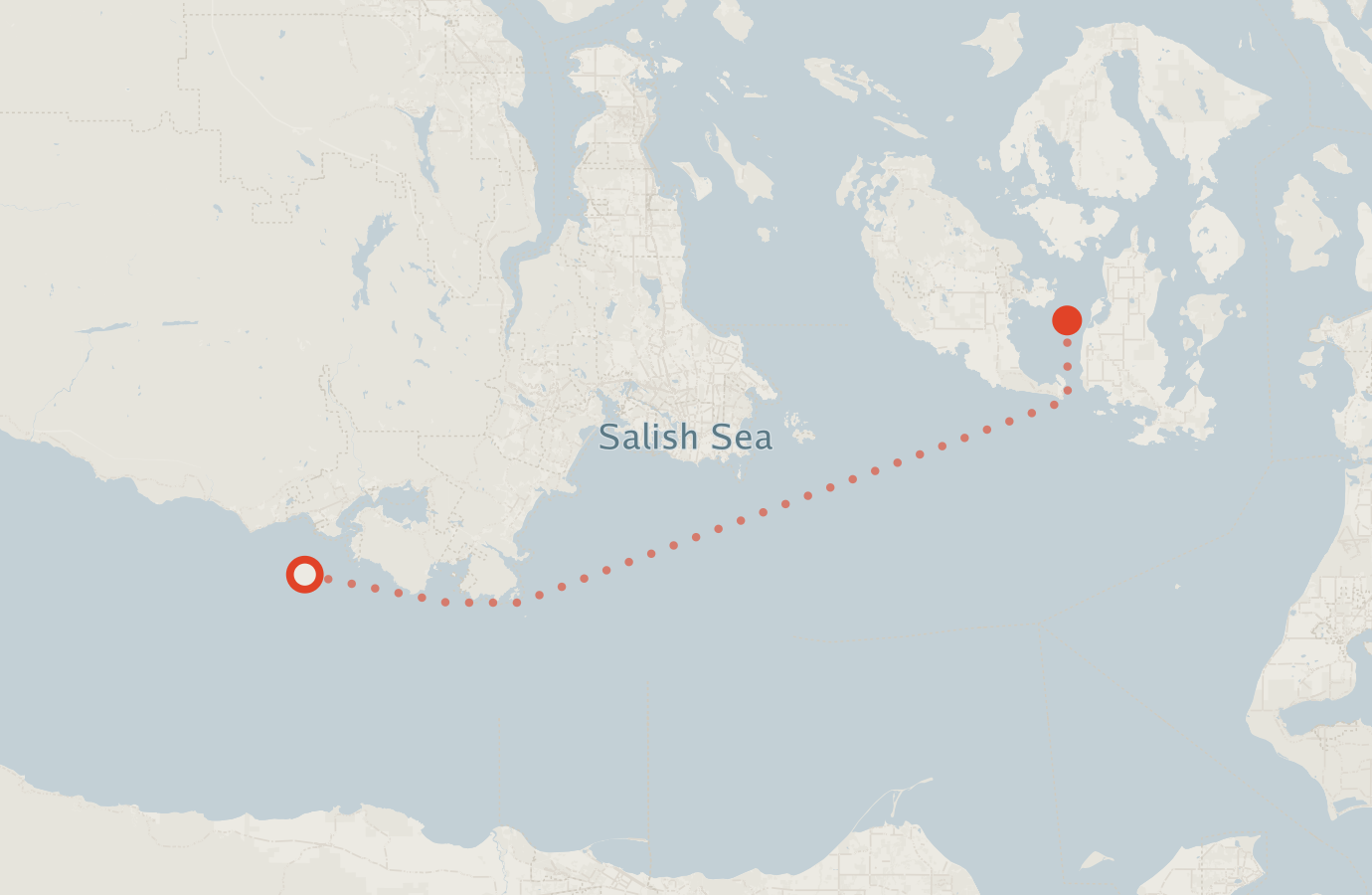 Activity map — real sighting points on an OpenStreetMap basemap
