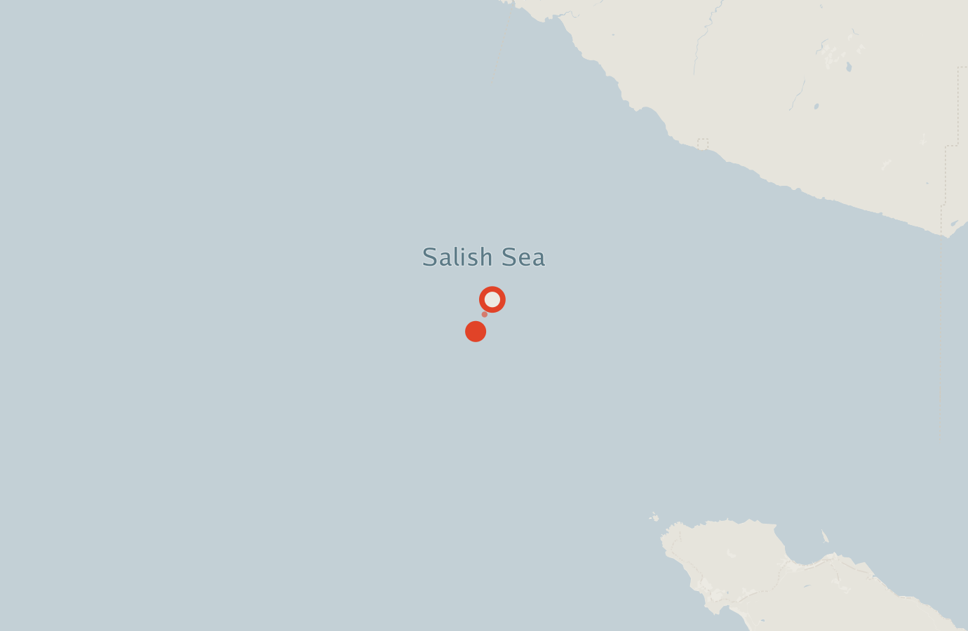 Activity map — real sighting points on an OpenStreetMap basemap