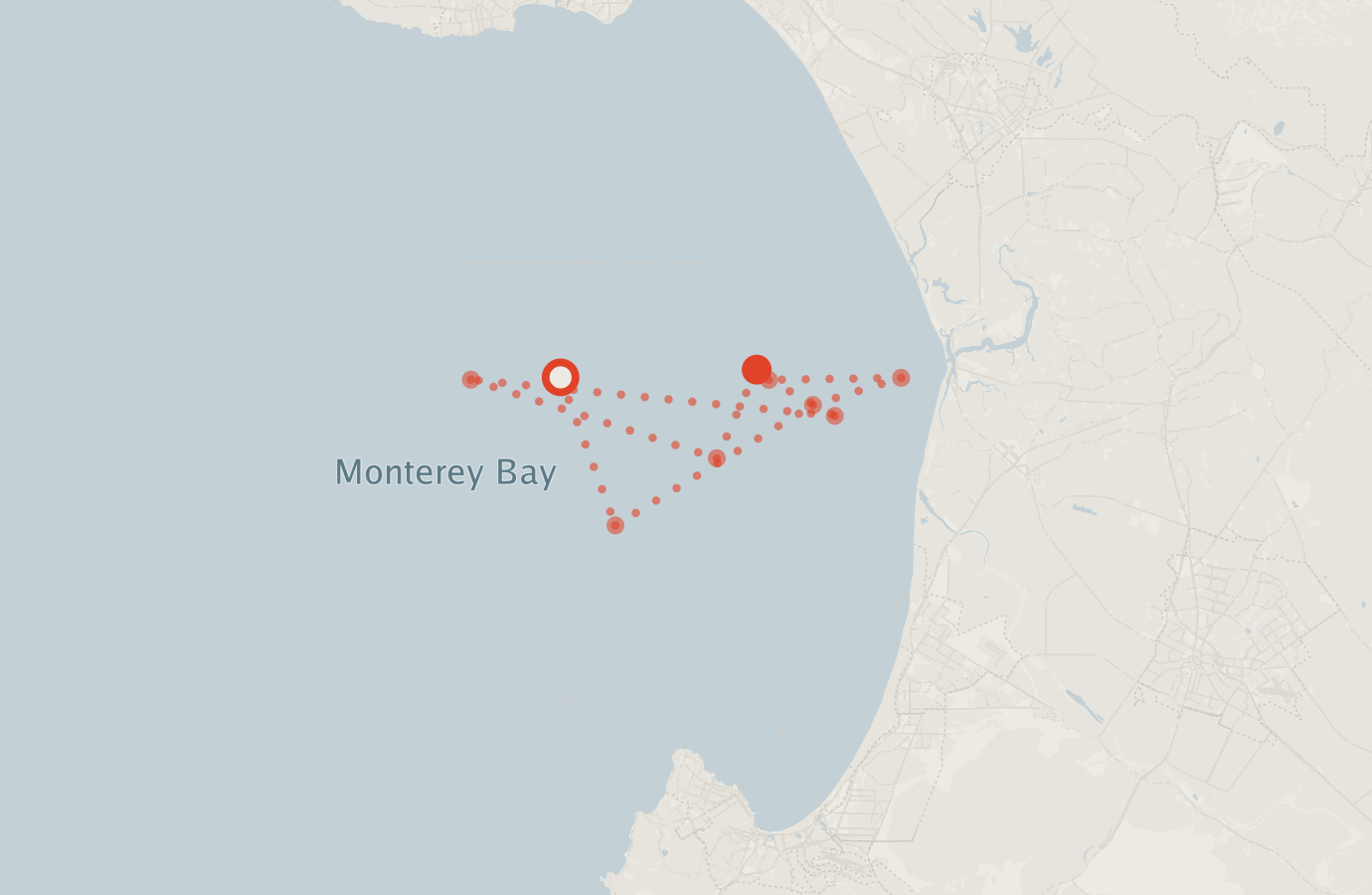 Activity map — real sighting points on an OpenStreetMap basemap