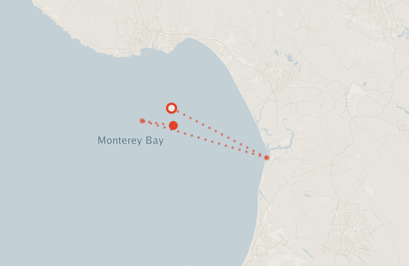 Activity map — real sighting points on an OpenStreetMap basemap