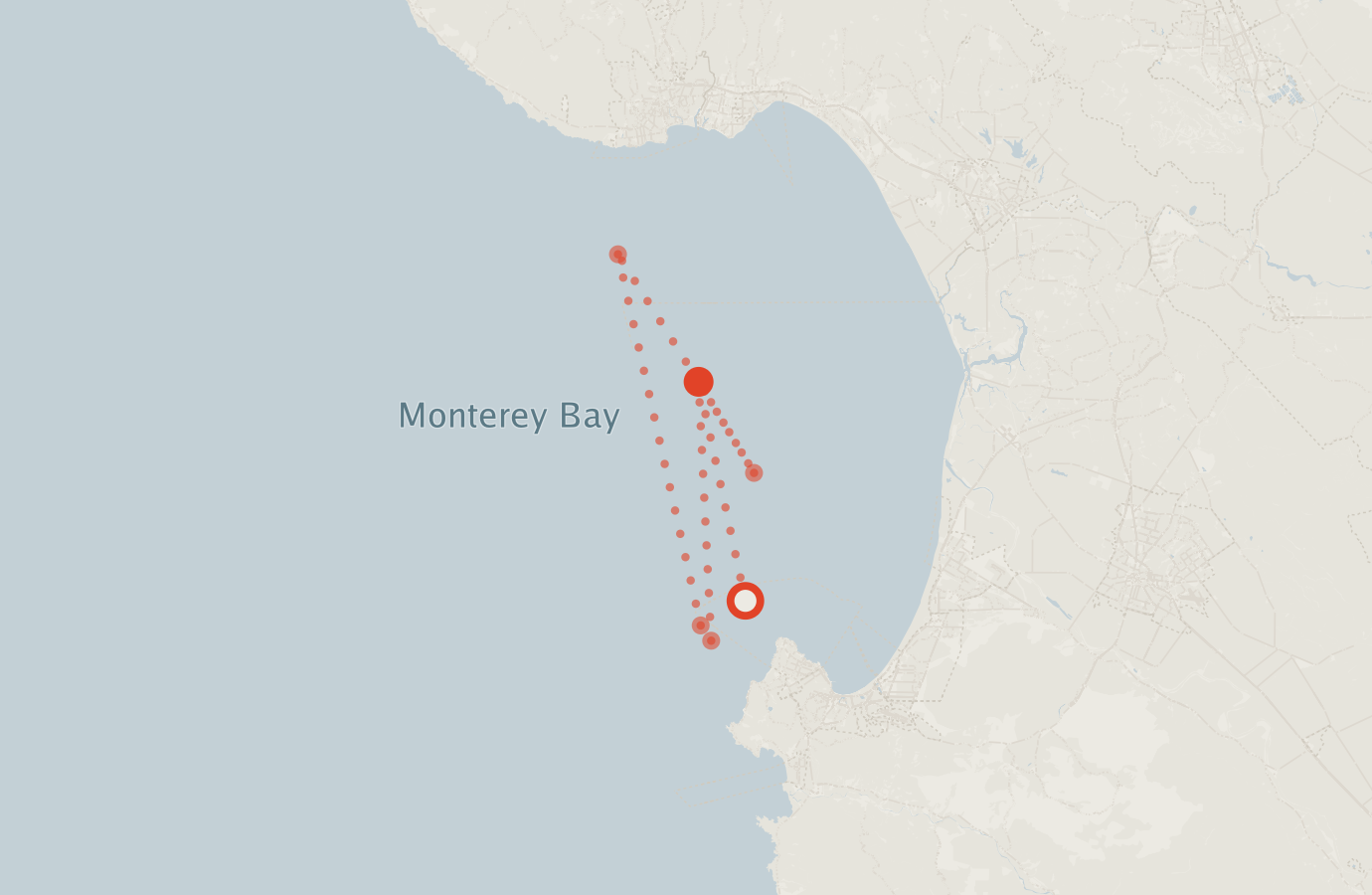 Activity map — real sighting points on an OpenStreetMap basemap