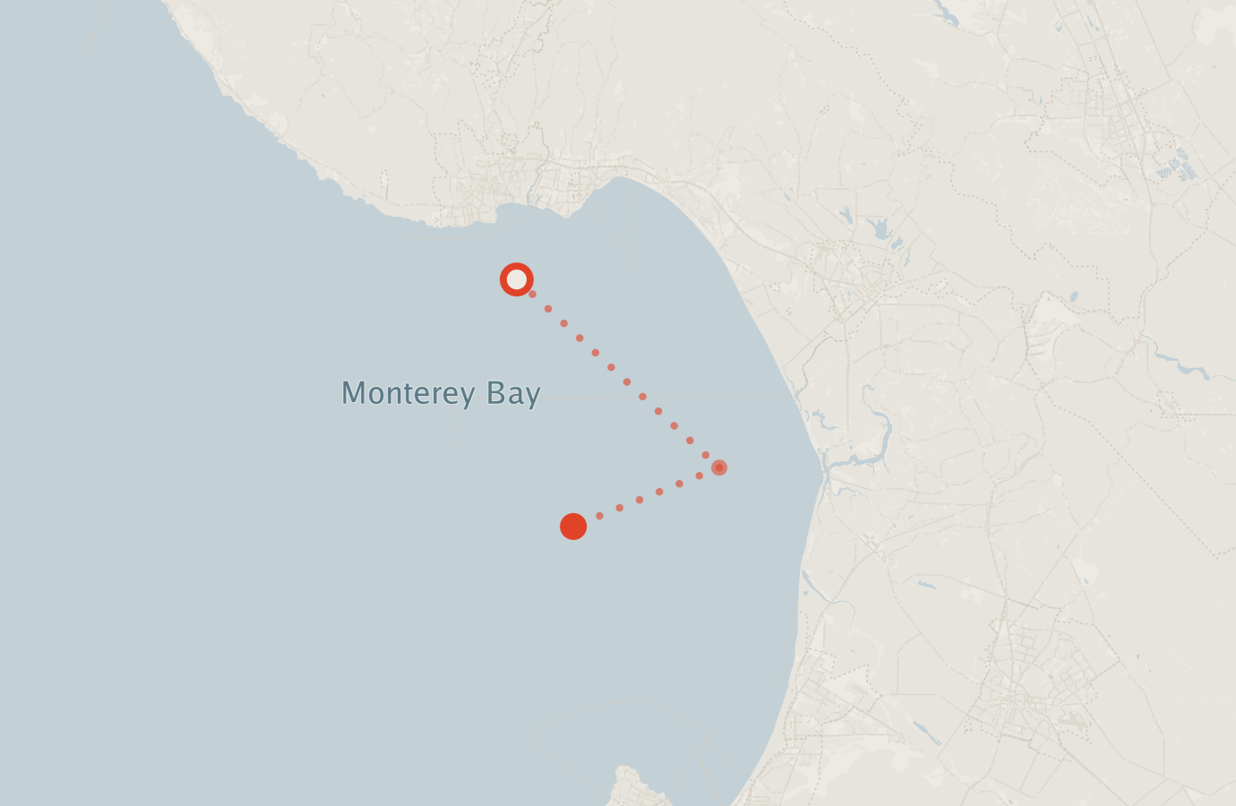 Activity map — real sighting points on an OpenStreetMap basemap