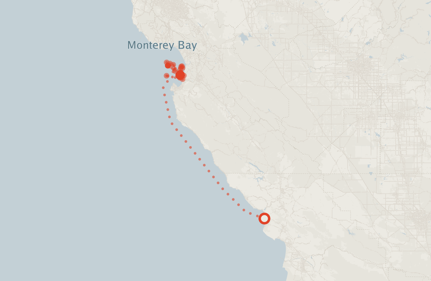 Activity map — real sighting points on an OpenStreetMap basemap